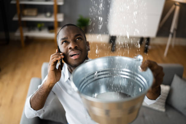 Best Water damage restoration experts  in Mcdonald, PA