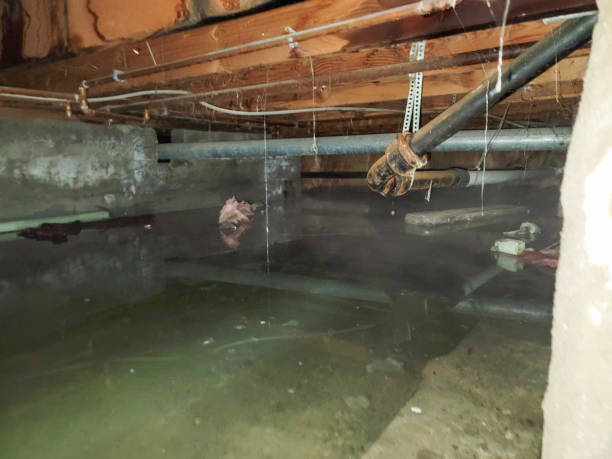  Mcdonald, PA Water damage restoration Pros
