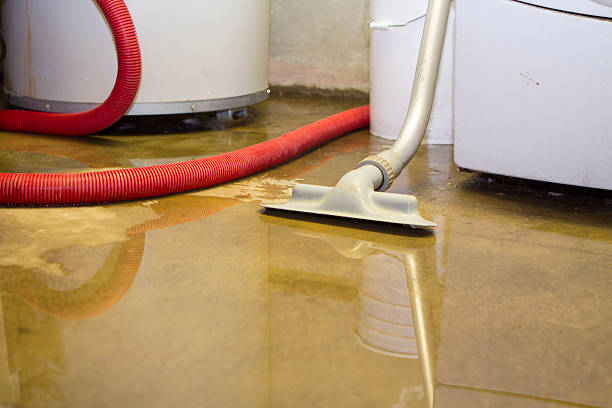 Best Water damage cleanup near me  in Mcdonald, PA